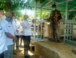 Walikota Kunjungi Usaha Ternak Kambing Milik Darmanyah Di Kelurahan Padurenan