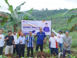Bangun Ekosistem Pertanian, FKDB Tanam Pohon Jambu Kristal di Cibadak Sukabumi