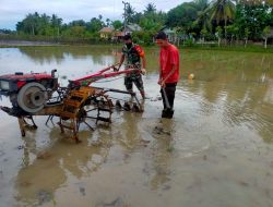 Sukseskan Swasembada Pangan Nasional, Babinsa Dampingi Petani Membajak Sawah