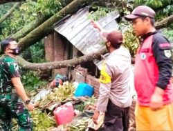 Babinsa Bersama Bhabinkamtibmas Cilongok Sigap, Terhadap Pohon Tumbang Yang Menimpa Rumah Warga