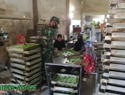 Antisipasi Melonjaknya Harga Sembako, Babinsa Cek Kebutuhan Pokok Di Pasar